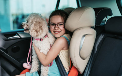Les enfants & les animaux en voiture : les règles à suivre